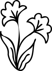 Line art flower illustration with black thin line and transparent background