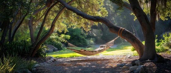 A unique hammock oasis is framed by the graceful curve of trees, creating an enchanting setting for rest amidst soft sunlight and lush flora.