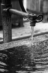 Close-up of Water flowing from a vintage garden faucet or tap.