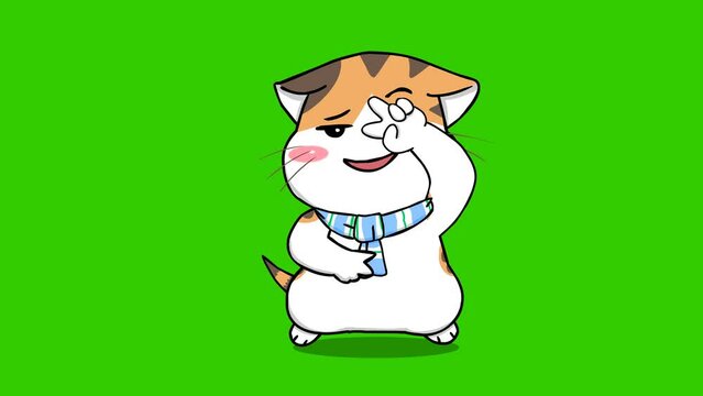 Cute cat  animation on green screen