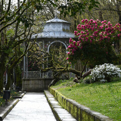 hermoso parque en primavera