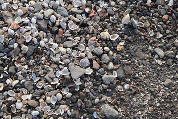 stones on the beach