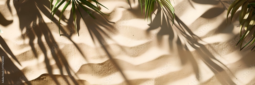 Poster palm tree is on the sand with its leaves casting a shadow. concept of relaxation and tranquility, as
