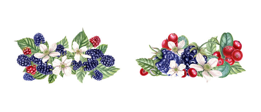 Bouquet with fresh blackberry and lingonberry. Red, black berries, flowers, buds on branch with leaves. Dewberry, bramble, cowberry. Watercolor illustration isolated on white.