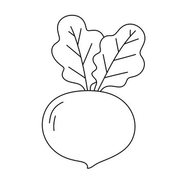 recommend clip art: Cartoon Radish line Icon.