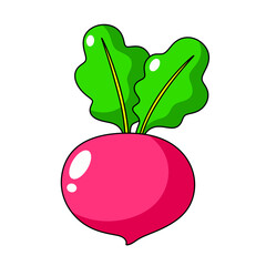 Cartoon Radish Icon.