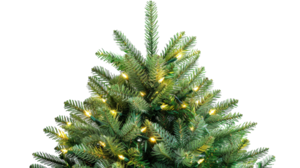 A small Christmas tree twinkles with glowing lights, spreading holiday cheer