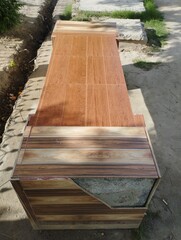 wooden bench in the garden