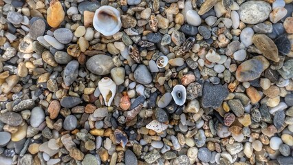 Stones and shells on the beach