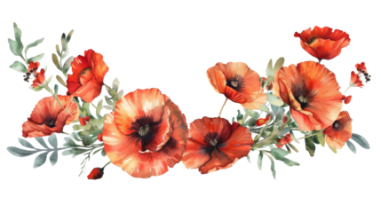 Wildflower poppy flower wreath in a watercolor style isolated on transparent. Poppy, papaver, opium. Aquarelle wild flower for background, texture, wrapper pattern, frame or border