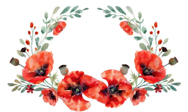 Wildflower poppy flower wreath in a watercolor style isolated on transparent. Poppy, papaver,  opium. Aquarelle wild flower for background, texture, wrapper pattern, frame or border