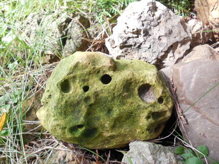 In the garden, an unusual stone covered with green moss lies on the grass. There are holes on the surface of the stone.