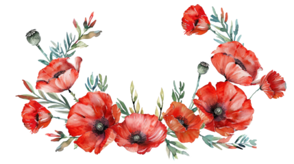 Wildflower poppy flower wreath in a watercolor style isolated on transparent. Poppy, papaver,  opium. Aquarelle wild flower for background, texture, wrapper pattern, frame or border