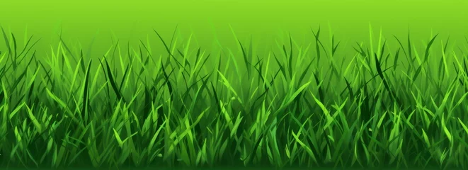 Gordijnen Fresh green grass background in sunny summer day in park © Mark Pollini