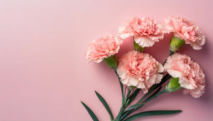 Soft Petals and Sweet Wishes: Charming Pink Carnations for Spring Celebrations and More