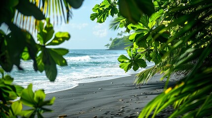 Secluded Black Sand Beach Framed by Tropical Foliage with White Wave Crests