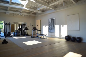 Airy home gym with modern fitness equipment and wall art