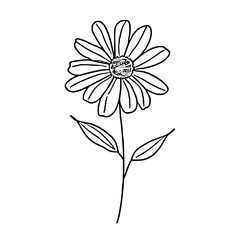 A delicate line drawing of a single daisy flower, featuring a detailed center and leaves on a clear white backdrop.