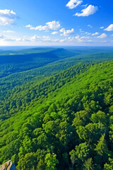 Obraz premium Forest. Carbon sink. Copy Space. Background