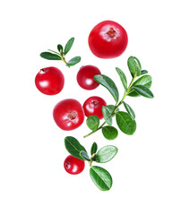 Group of cranberries with leaves close up in the air isolated on a white background