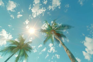 Tropical beach and palm trees, The Maldives, Indian Ocean