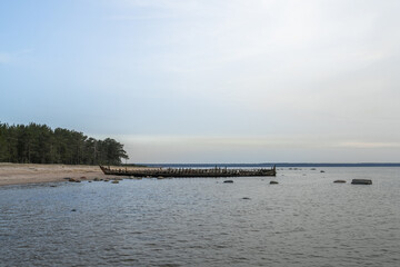 Loksa Estonia - March 31 2024: Shipwreck of the schooner Raketa, built in Rauma, Finland in the post war years for the Soviet Union as compensation for war damages. Skeleton of the ship on sandy beach