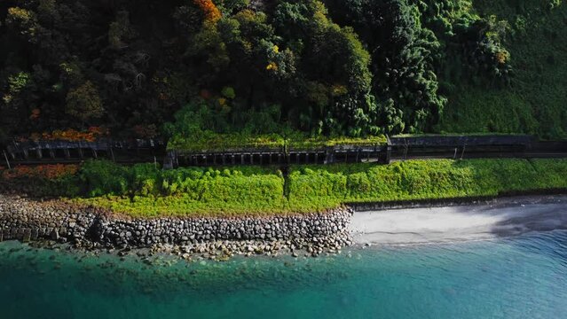 Stunning botanical garden in Batumi with lush greenery and peaceful coastline along the Black sea. Tranquil atmosphere of popular tourist destination with railway along the shore. Tourism to Georgia