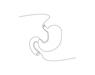 Continuous one line drawing of anatomical human stomach. One line of human stomach. organs body parts concept continuous line art. Editable outline.