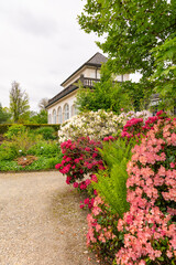 Fototapete bei efototapeten.de bestellen   