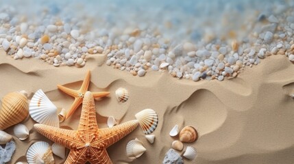 Sea shell and starfish on sand