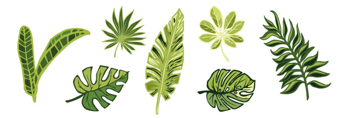 Set of green tropical leaves.Decorative botanical elements.Vector graphics. - obrazy, fototapety, plakaty