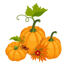 Autumn colorful composition with ripe pumpkins and autumn leaves, flowers, butterflies.Vector graphics.