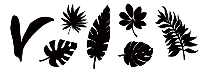 Set of silhouettes of tropical leaves.Decorative botanical elements.Vector graphics.