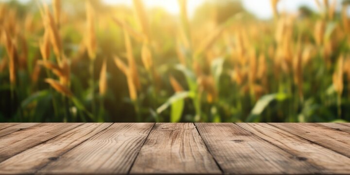 The empty wooden brown table top with blur background of corn field. Exuberant image. generative AI