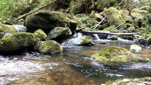 Filmmaterial von Naturschutzgebiet Wildbachklamm Buchberger Leite in Ringelai im Bayerischen Wald, Deutschland