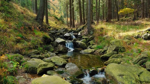 Forest landscape with waterfall cascades, nature, summer, stock footage video 4k