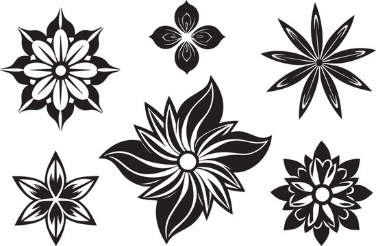 Set of graphic design vector flower ornaments. Hand drawn vector illustration	