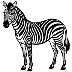 zebra silhouette vector illustration svg file