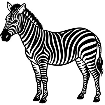 zebra silhouette vector illustration svg file