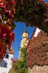 Fototapete bei efototapeten.de bestellen   