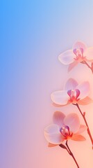 Fototapeta na wymiar Peach Cobalt Orchid gradient background barely noticeable thin grainy noise texture, minimalistic design pattern backdrop 