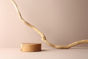 Presentation for product. Wooden podium and tree branch on beige background. Space for text