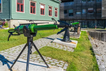 Raamstickers Whale Harpoon guns in Tromso in Norway © Chris