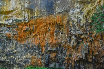 Vegetation and colorful stalactites seen on a cliff outcropping.