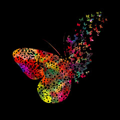 Beautiful colored abstract butterflies on a black background. hand drawing. Not AI. Vector illustration