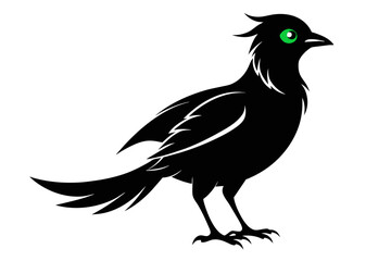ilhouette color image,Echo bird ,vector illustration,white background