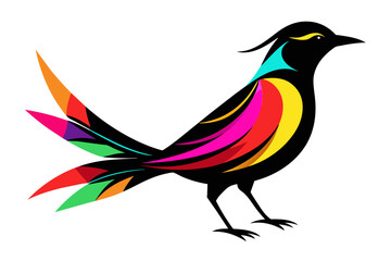 silhouette color image,Feathers bird ,vector illustration,white background