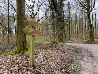 Forest at spring time in Flensburg, northern city in Germany