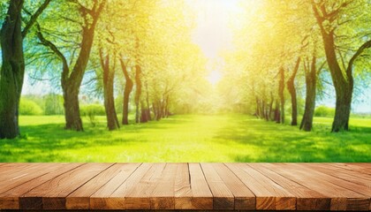 Naklejka na ściany i meble Parkside Paradise: Sun-Kissed Trees and Vacant Wooden Table