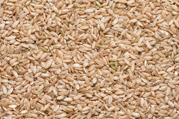 Brown integral uncooked rice texture.
